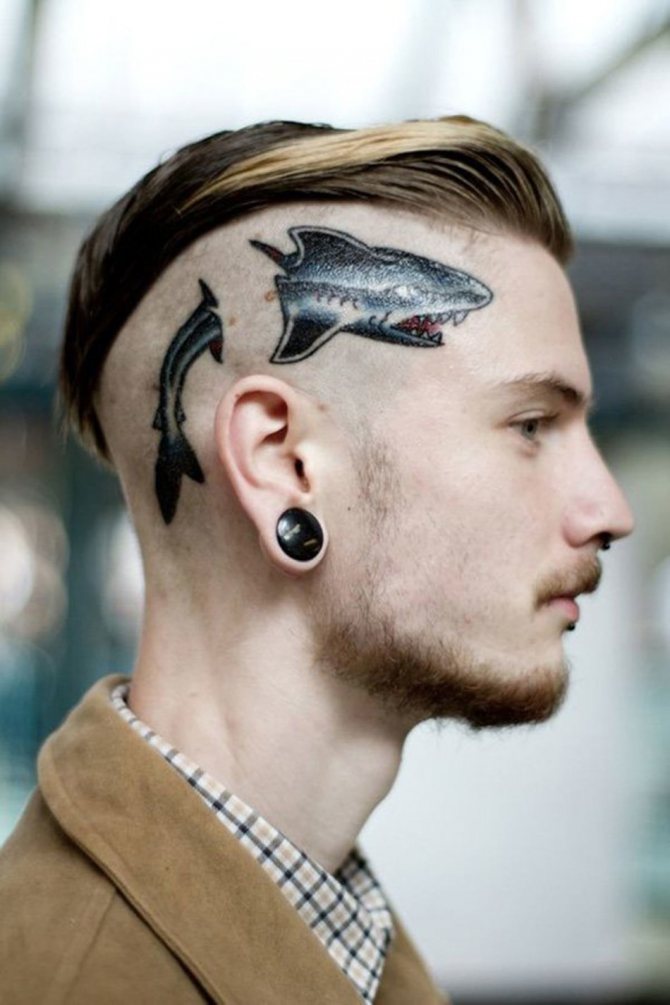 Tattoo on a man's head in the shape of a shark