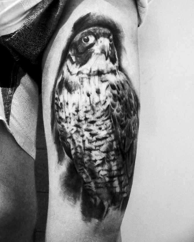 Male Thigh Falcon Tattoo