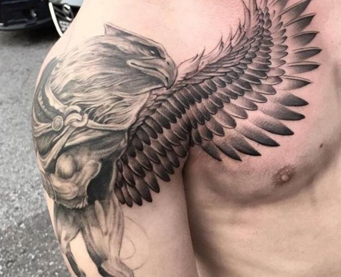 Tattoo on the shoulder - Griffon