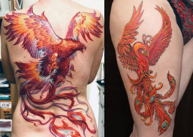 Tattoo as a phoenix on back and thigh