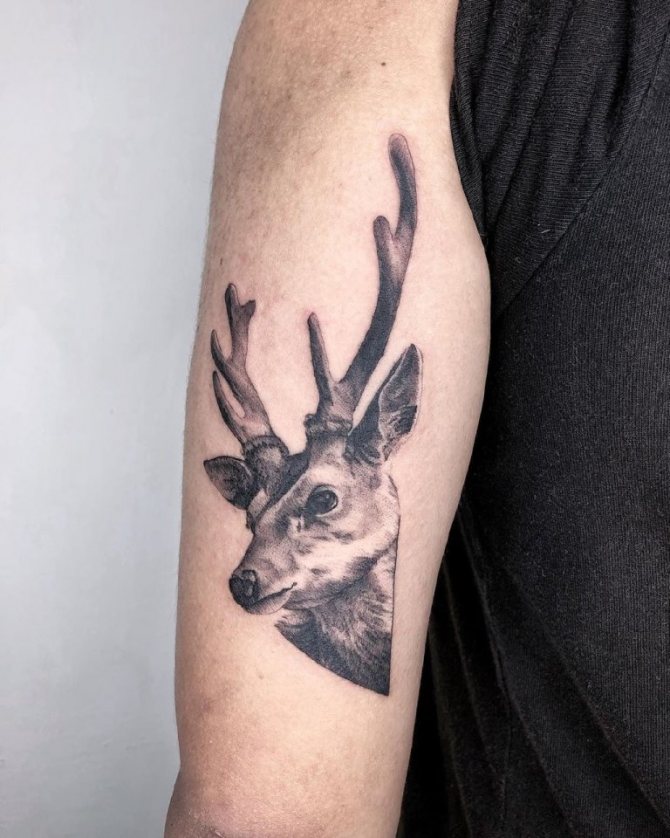 tattoo deer meaning