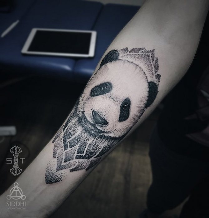 panda dotwork tattoo on forearm