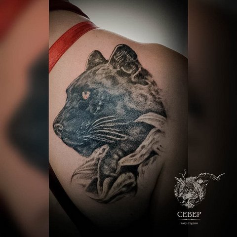 Panther tattoo on collarbone