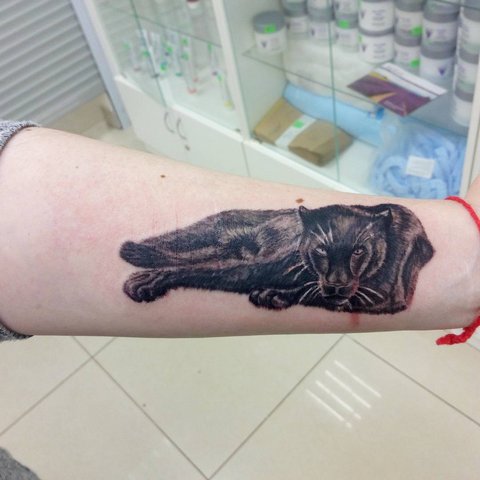 Panther tattoo on forearm