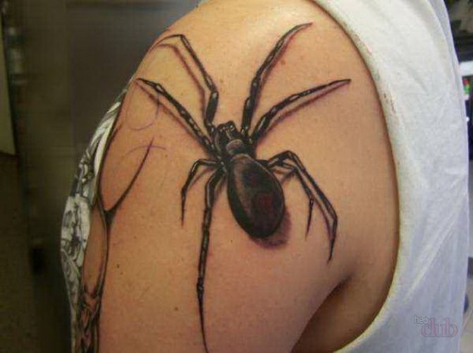 blackwork spider tattoo on shoulder realism
