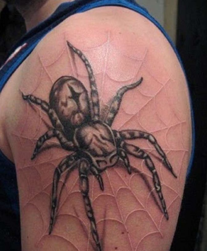 black and white spider tattoo on his shoulder