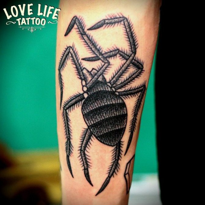 Spider dotwork tattoo on his forearm