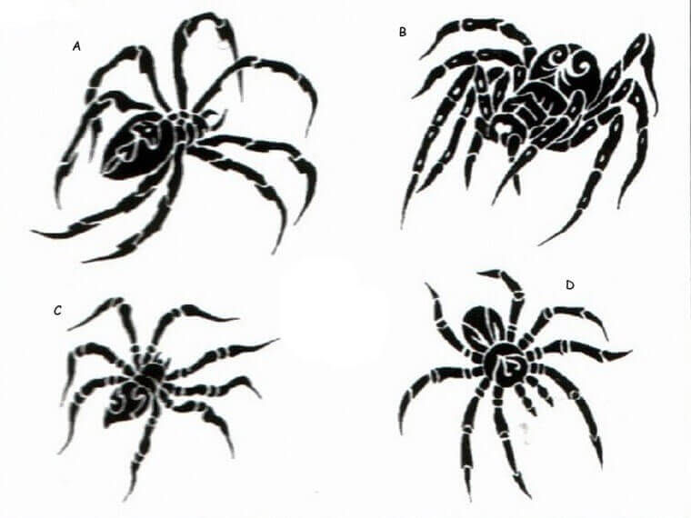 Tattoo Spider meaning