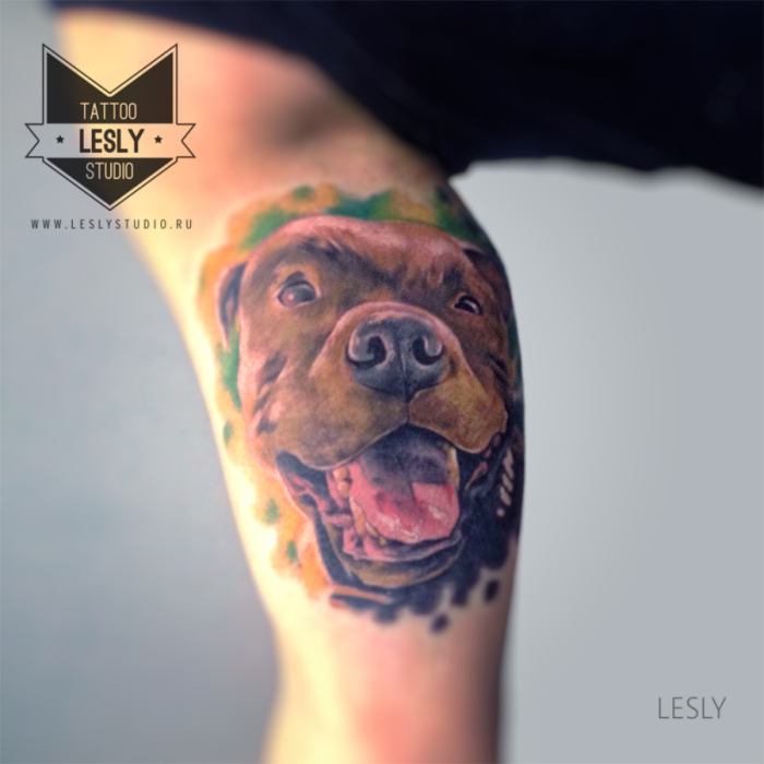 colored pit bull realism tattoo on biceps