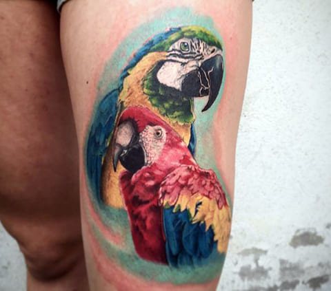 Tattoo of parrots on legs