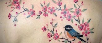 Tattoo with a Sakura and a Bird