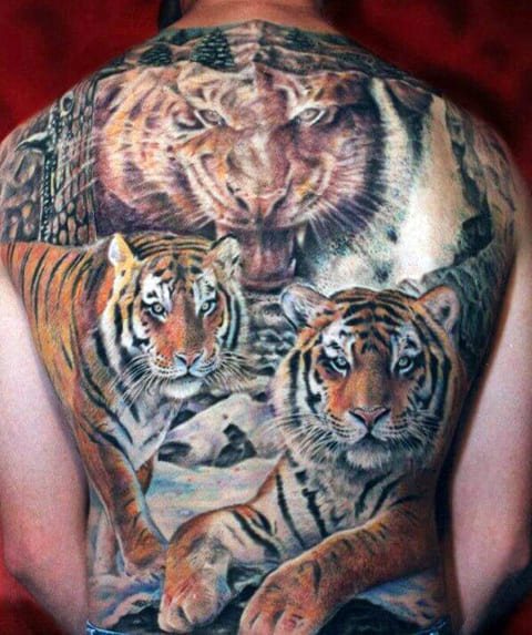 Tattoo with a tiger on his back
