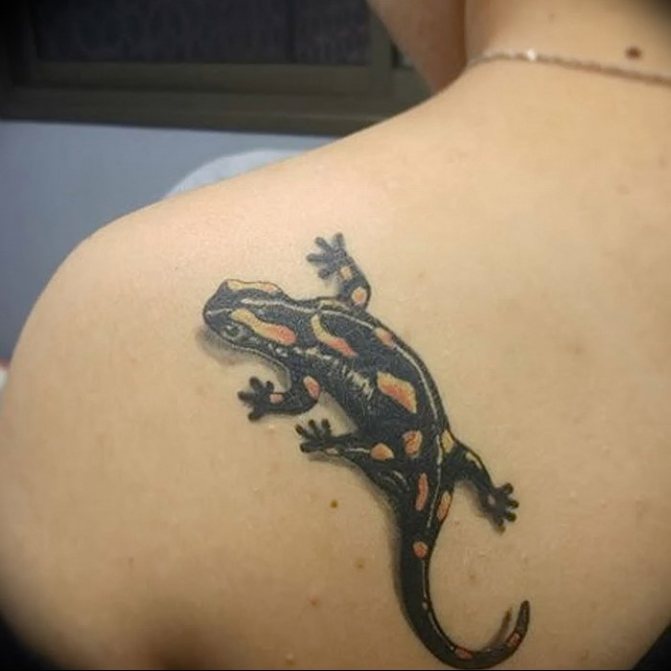 tatuaggio salamandra realistico sulla schiena