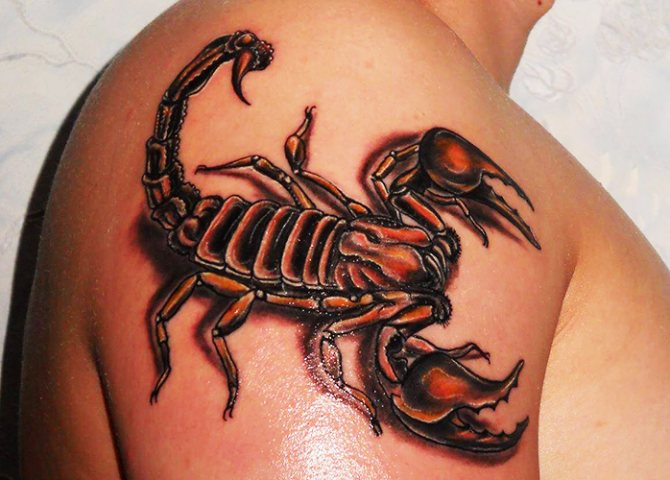 Tattoo of a scorpion. What do they mean, sketch on the shoulder, arm, neck, chest