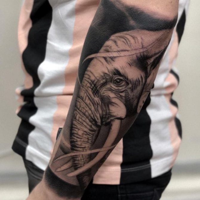 elephant tattoo on his arm