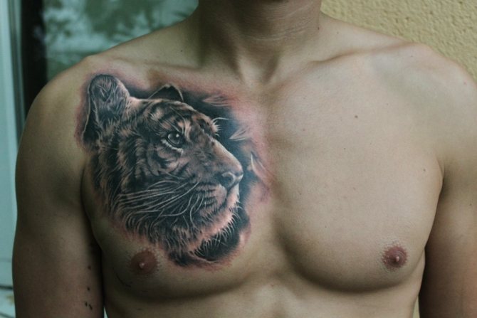 tattoo of a tiger