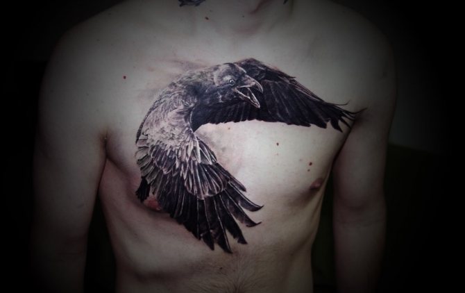 Tattoo of a raven on the chest