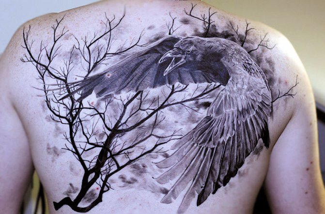 Tattoo of a raven