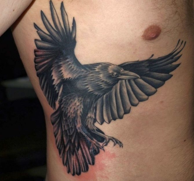 Tattoo - a raven on his side