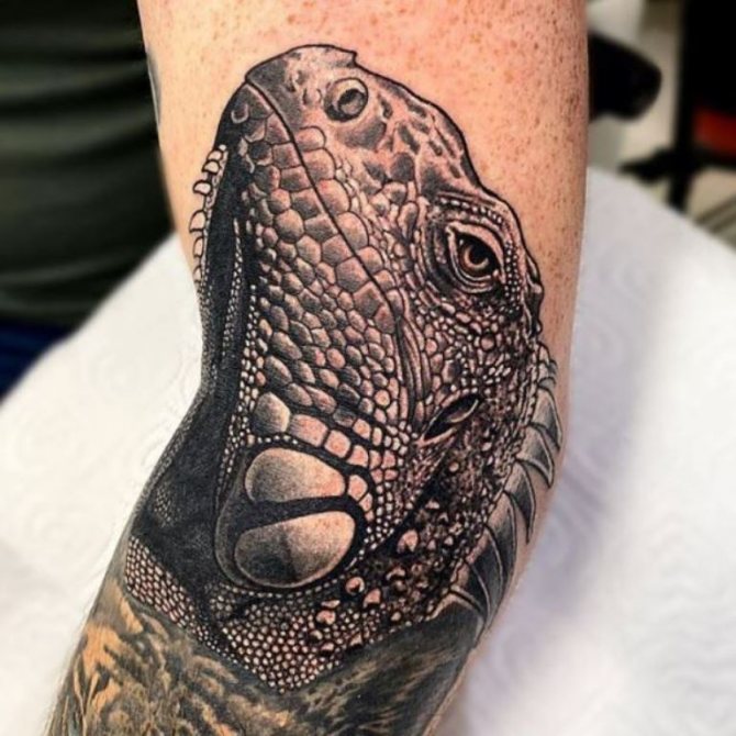 lizard tattoo meaning