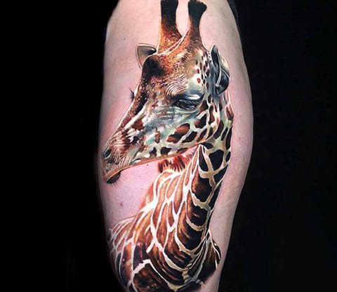 Tattoo giraffe - photo