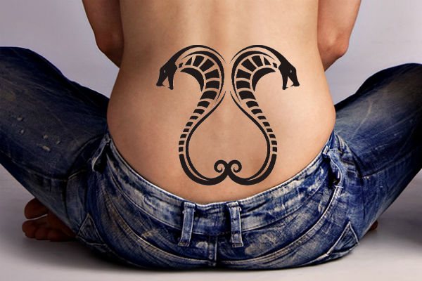 Snake tattoo photo