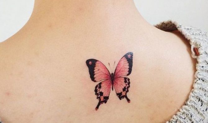 significato del tatuaggio della farfalla
