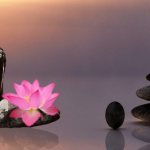 The Teachings of Zen: A Religious Philosophy trend called Buddhism