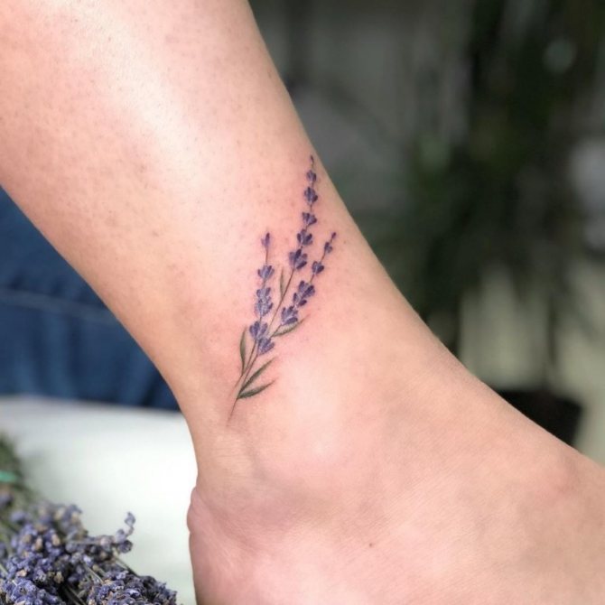 lavender branch sketch