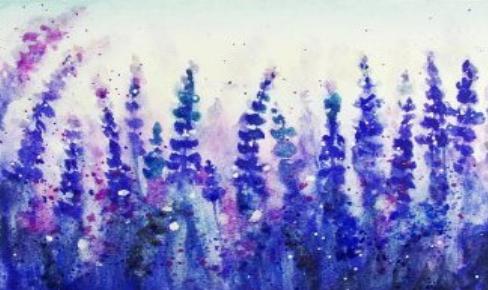 lavender sprig drawing