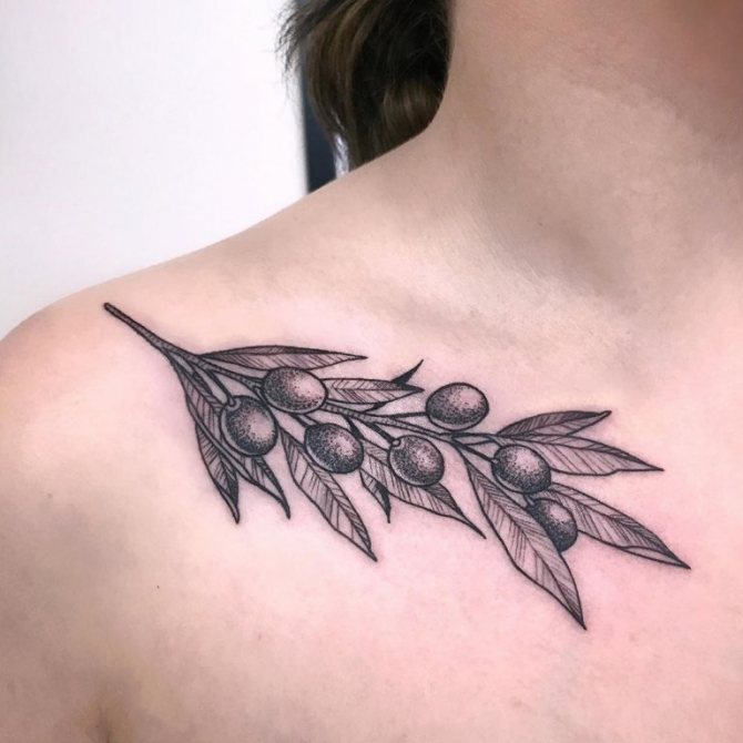 olive branch tattoo