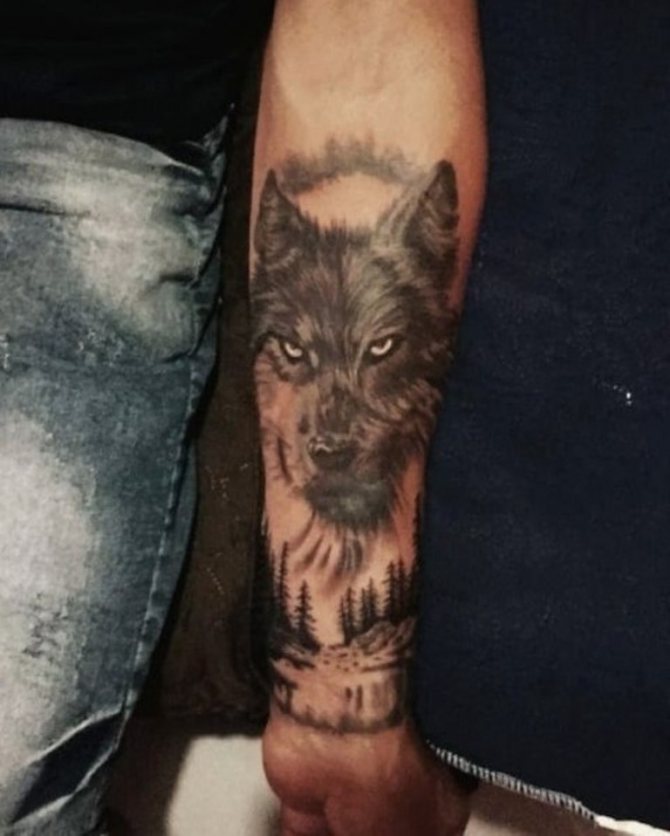 Wolf on hand