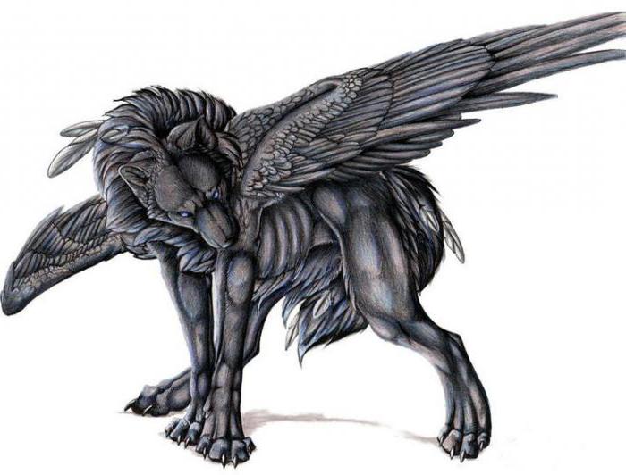 wolf with wings pencil