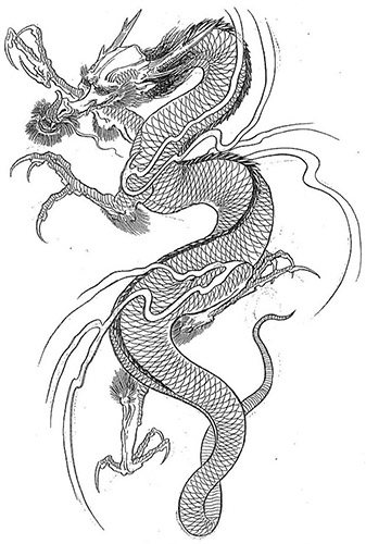 Japanese dragon. Sketches of tattoos simple, in color, photo, meaning