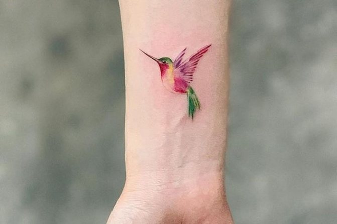 Bright hummingbird