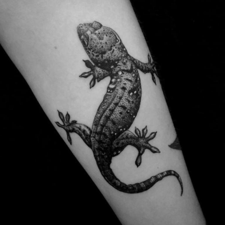 lizard symbol meaning