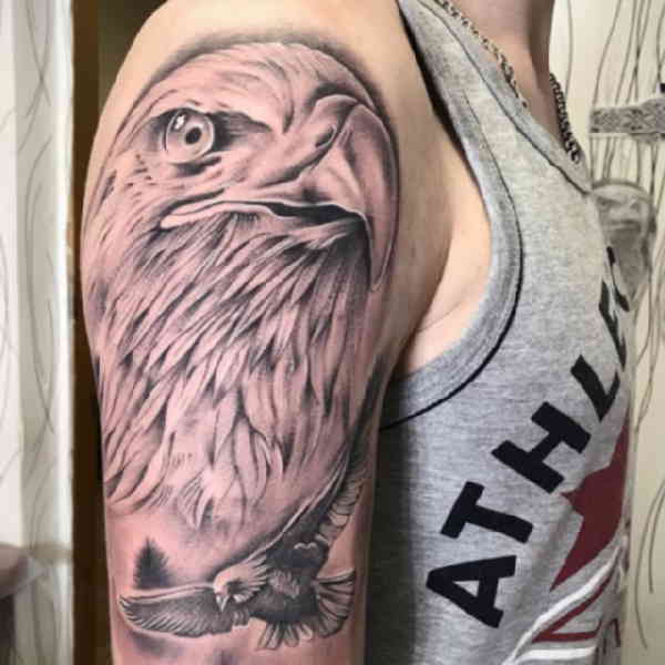 Hawk tattoo on the shoulder