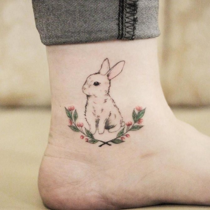 hare on his leg