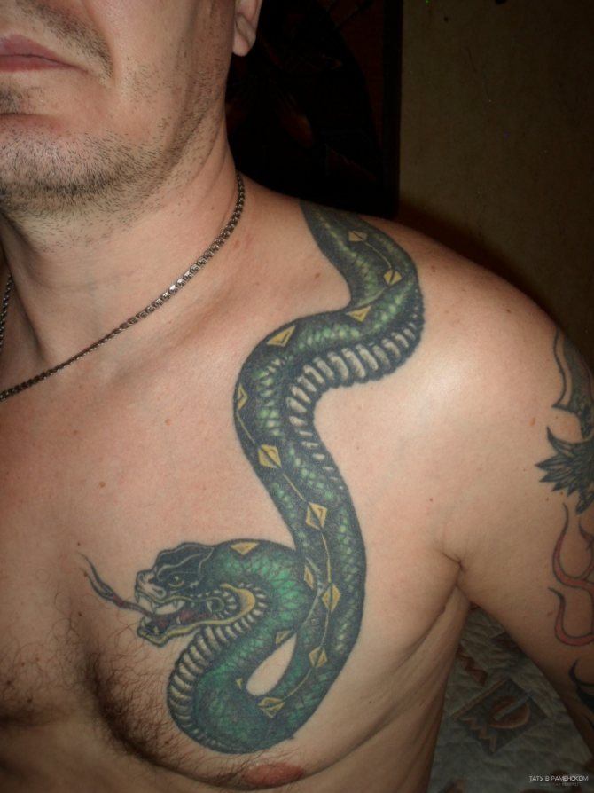 Green snake on his shoulder