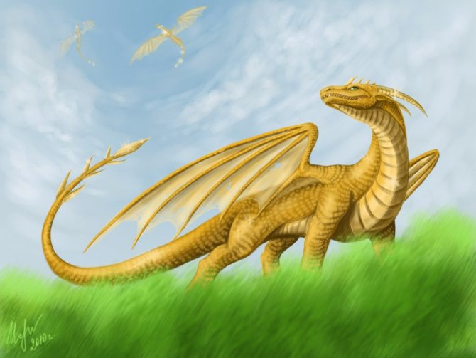 Yellow dragon