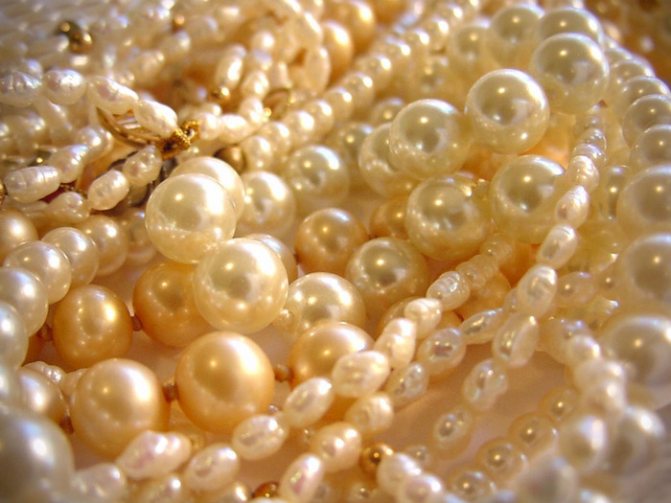pearl (700x525, 123Kb)