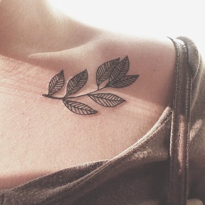 Donne tatuaggi sulla clavicola - tatuaggio sulla clavicola ramoscello