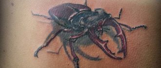 The bug tattoo is applied to thieves