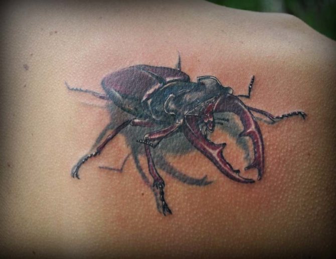 Beetle tattoo applied to thieves