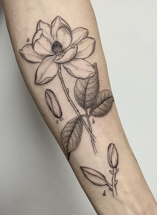Meaning of tattoo magnolia