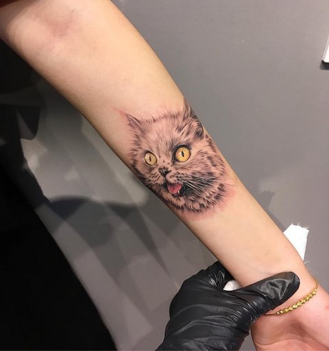 Meaning of cat tattoo for girls and men, Egyptian cats, sphinx, cat head, black, wings, paws
