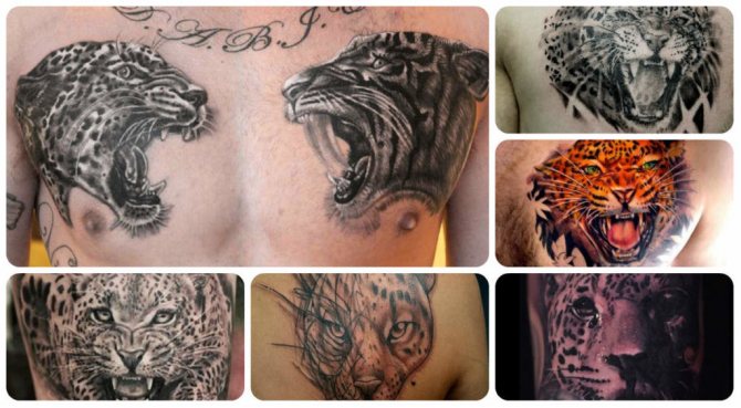 Meaning-jaguar tattoos-and-photo-examples-with-successful-variants-1024x563.jpg